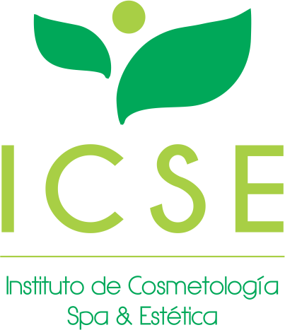ICSE Logo